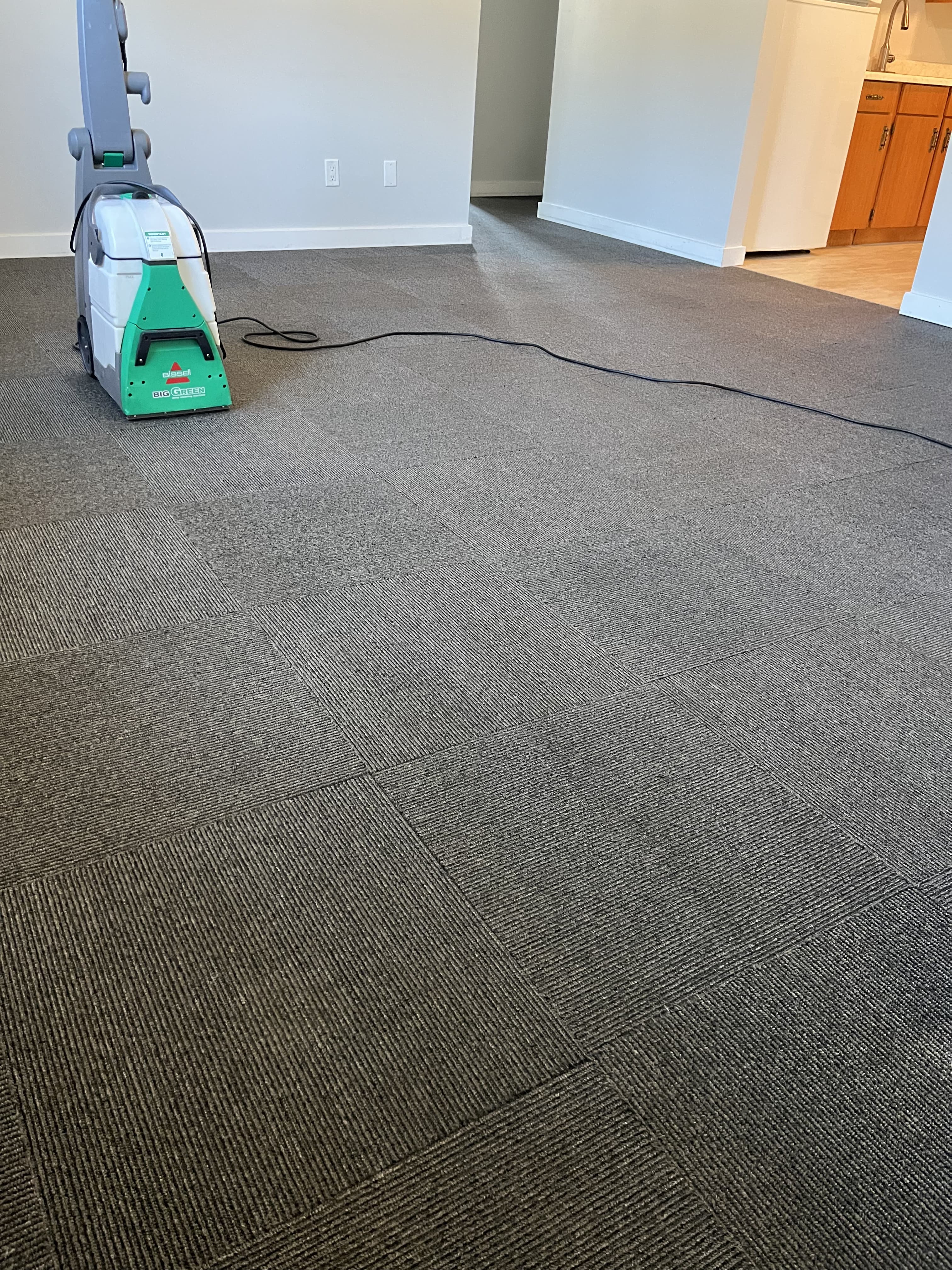 Clean Carpet - after